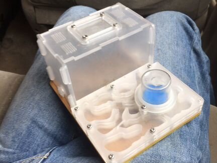 Муравьиная ферма