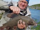 Рыбалка на трофейного хариуса на Урале в Воркуте