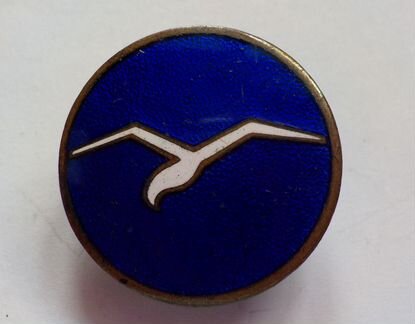 Nsfk. Знак пилота планера («одно крыло»)