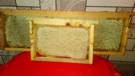 Сотовый Мед