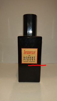 Robert Piguet Jeunesse