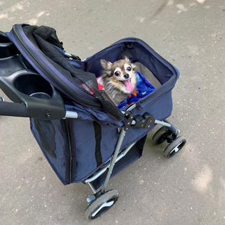 Коляска для собак до 15 кг + дождевик