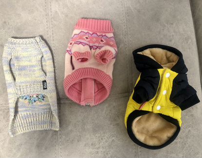 Одежда для собак