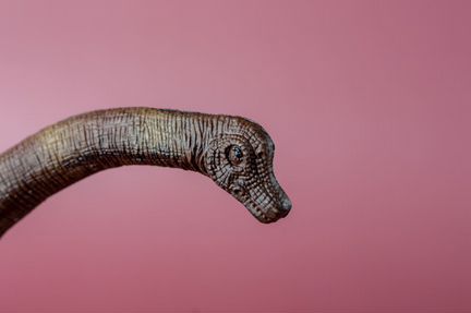 Фигурки динозавров - Большой динозавр Брахиозавр