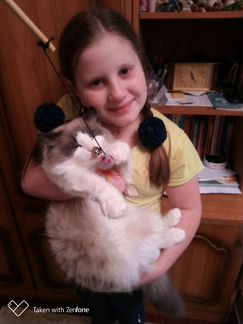 Наши рэгдолл детки