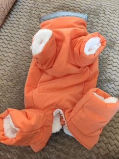 Новый комбинезон для собаки- девочки