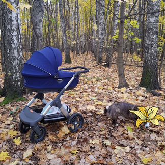 Коляска Stokke trailz 2 в 1