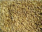 Зерно пшеница объявление продам