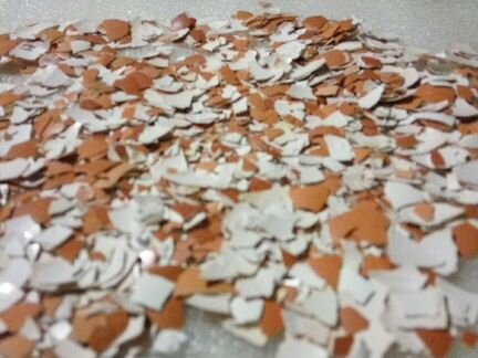 Скорлупа яичная чистая