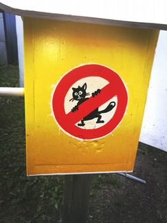 Недвижимость для пернатых)