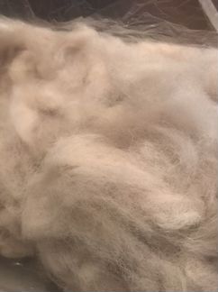 Собачья шерсть